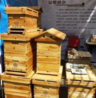 汪妙红5.jpg 汪妙红5.jpg