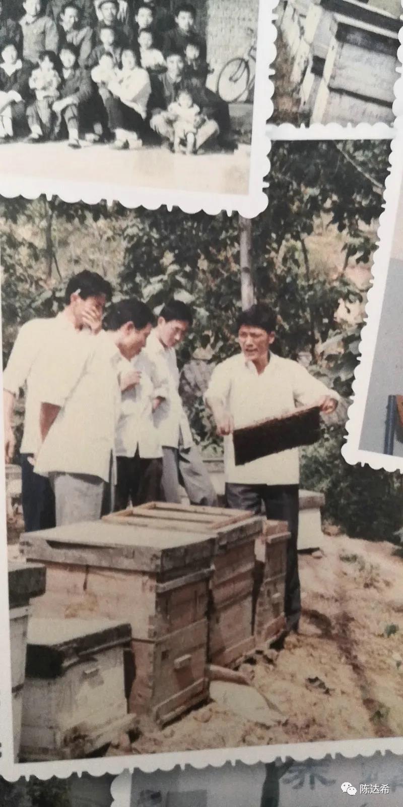 顾振宇4.jpg 顾振宇4.jpg